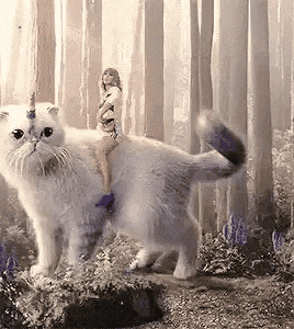 taylor swift magic gif by moodman